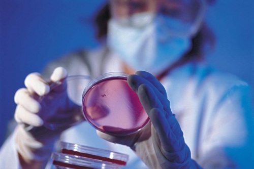 我國氟材料行業發展的影響因素